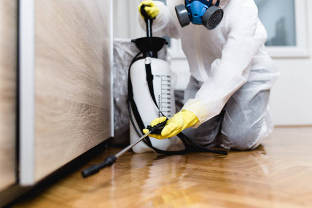 Best Local Pest Control Services  in Bath, ME